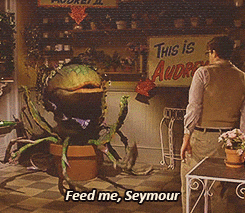 &ldquo;Feed me, Seymour!&rdquo;